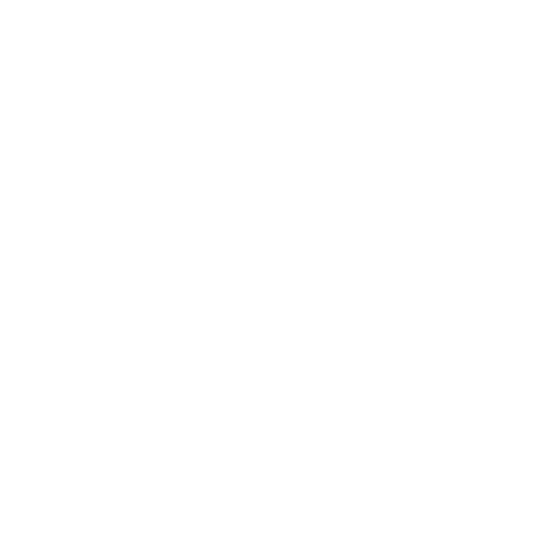 DISRUPTIVA